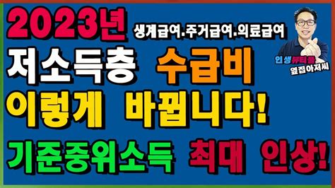  라미 섬유의 다재다능함: 고성능 소재에서 지속가능한 패션까지!