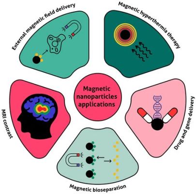  Magnetite 나노입자: 생체 적합성과 자기적 특성을 활용한 혁신적인 의료 기술!